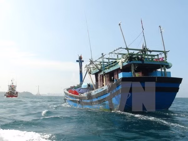 Quang Binh : sauvetage d'un Chinois sinistré en mer ảnh 1