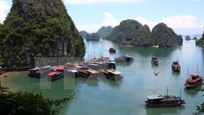 Thrillist : Le Vietnam figure parmi les destinations les plus attrayantes d’Asie du Sud-Est ảnh 1