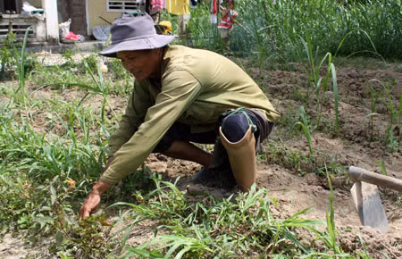 Renforcer l’aide aux victimes des bombes et des mines ảnh 1