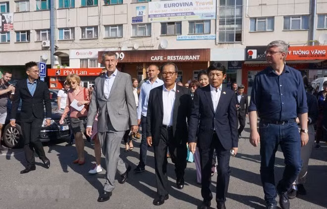 Les jeunes vietnamiens en R. tchèque contribuent à la protection de l'environnement ảnh 1