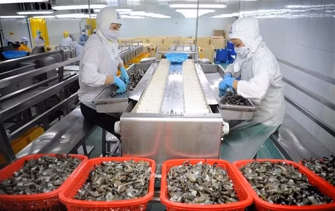 Des investissements publics pour promouvoir la croissance à long terme du Vietnam ảnh 1
