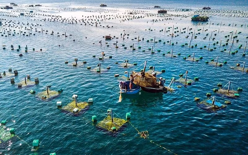 Le Vietnam et la Norvège promeuvent leur coopération dans l'aquaculture marine ảnh 2