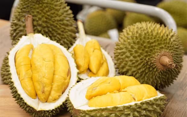 Le Royaume-Uni, un marché potentiel pour le durian vietnamien ảnh 1