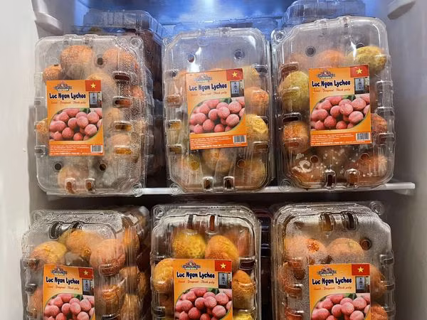 Le premier lot de litchi vietnamien "U hong" expédié vers le Royaume-Uni ảnh 2
