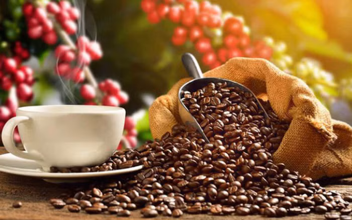 Les exportations de café pourraient franchir la barre des 4 milliards de dollars ảnh 1