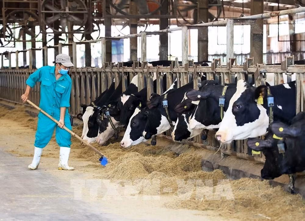 Super Nut de Vinamilk remporte le prix de la meilleure alternative au lait de vache 2023 ảnh 1