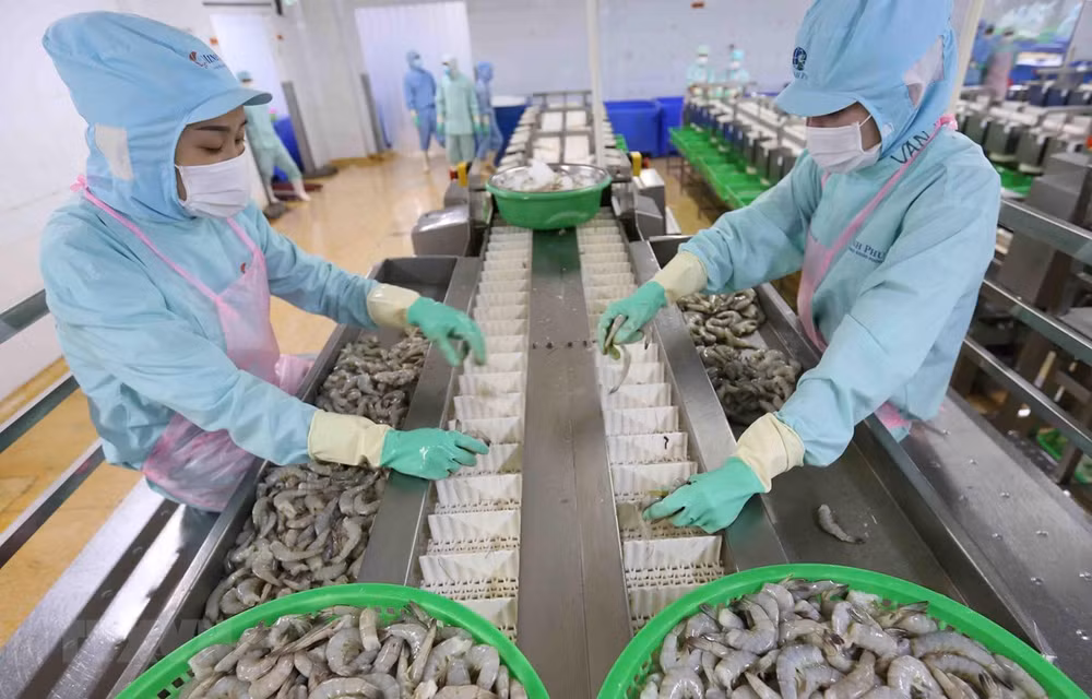 Les exportations de produits agricoles, sylvicoles et aquacoles en hausse ảnh 1