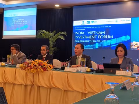 Forum d'investissement Inde-Vietnam: augmentation des opportunités bilatérales pour les entreprises ảnh 3