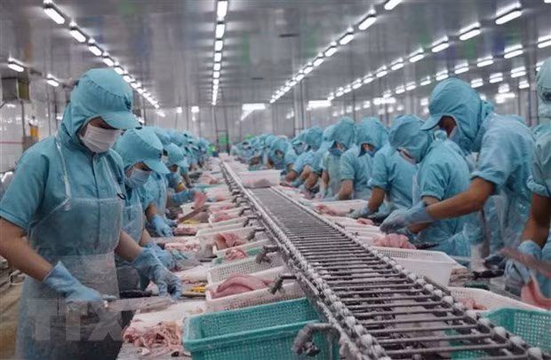 Le Cambodge s'engage à respecter le libre-échange après la suspension des importations de pangasius ảnh 1