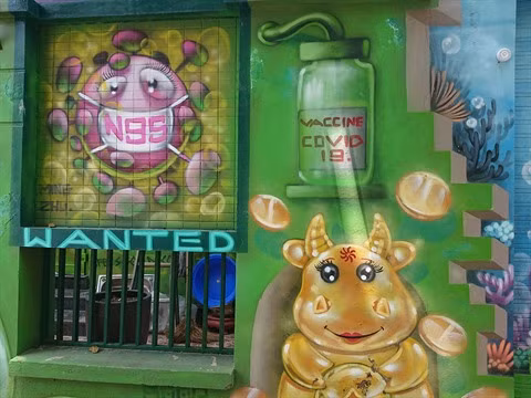 Des peintures murales anti-COVID-19 à Hanoï ảnh 1