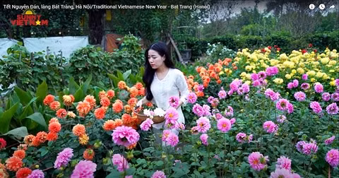 Quand une chaîne Youtube assure la promotion du tourisme vietnamien ảnh 3