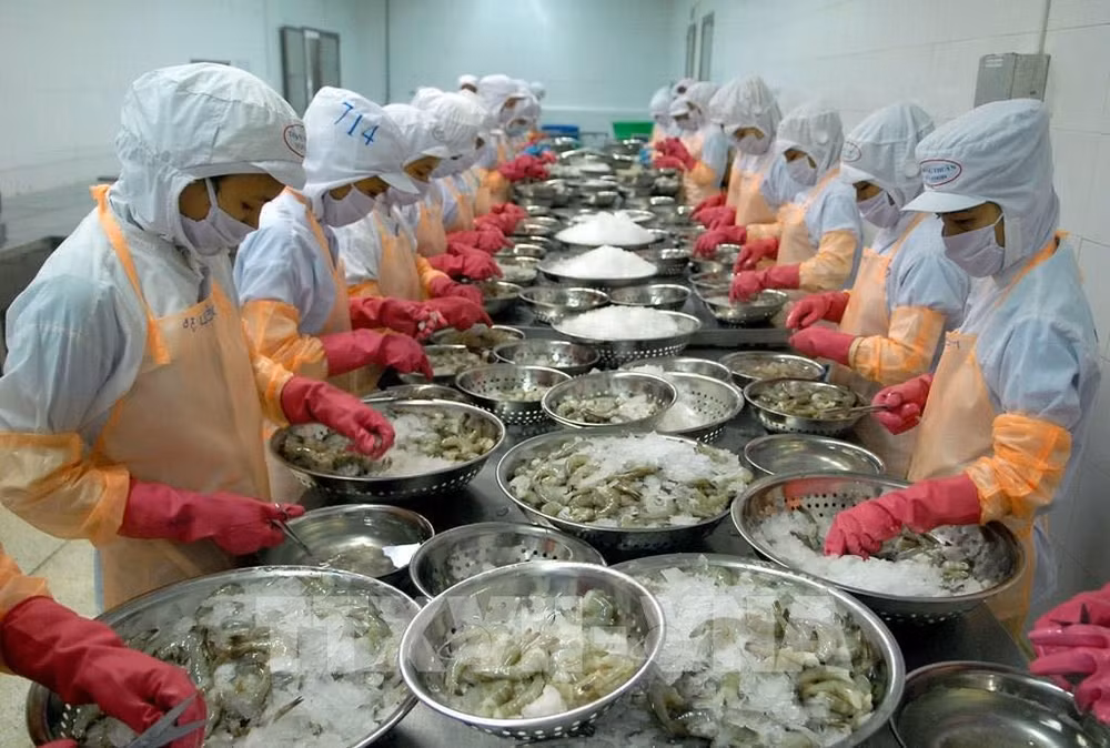 Économie en 2020: le Vietnam montre sa capacité d'autonomie ảnh 2