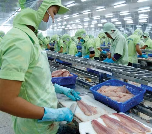 Le pangasius vietnamien cherche à accélérer sa dynamique de croissance vers la Malaisie ảnh 1