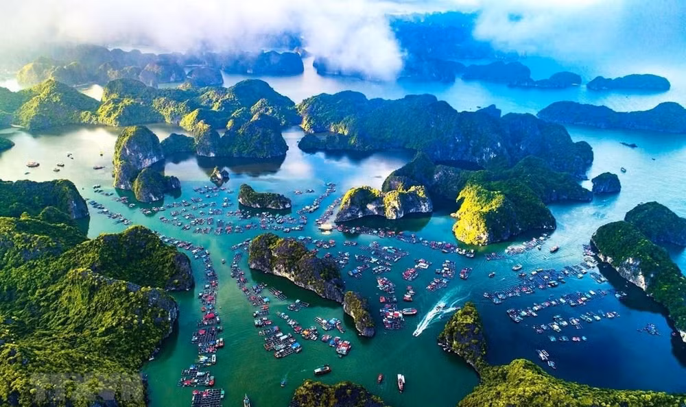 Le Vietnam envisage de créer un groupe de partenariat sur l’économie bleue ảnh 1