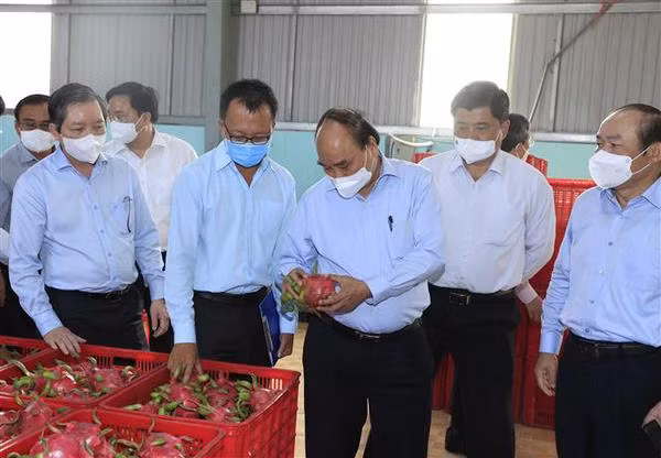 Président : ​​Mobiliser la force de l’économie collective de Tien Giang ảnh 2