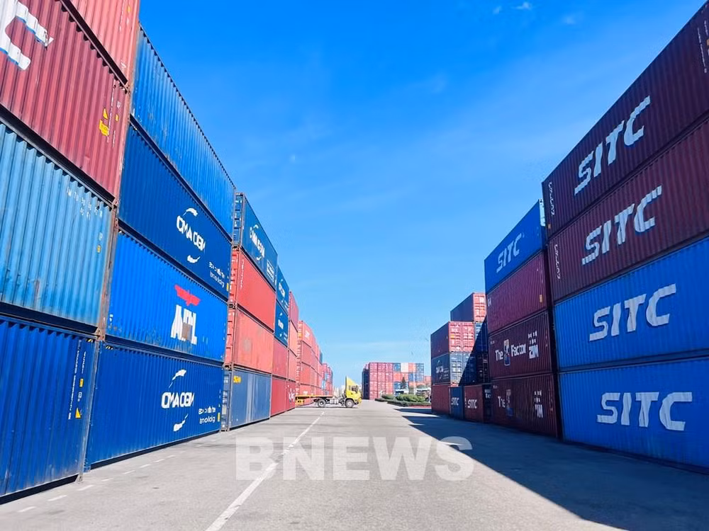 Les ports maritimes de Quang Nam voient grand ảnh 2