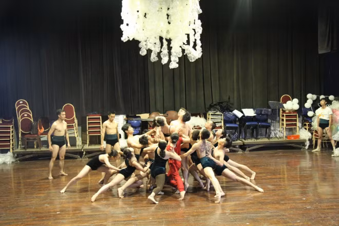 Des artistes vietnamiens et japonais ensemble dans le programme « Symphonie estivale » ảnh 1