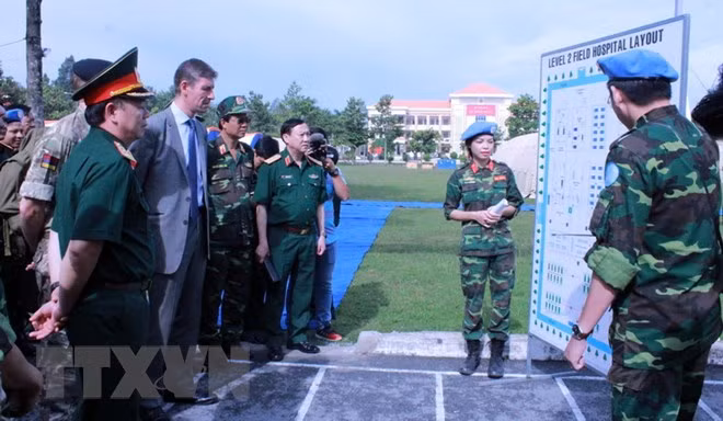 Le Vietnam participe activement aux opérations de maintien de la paix de l’ONU ảnh 1
