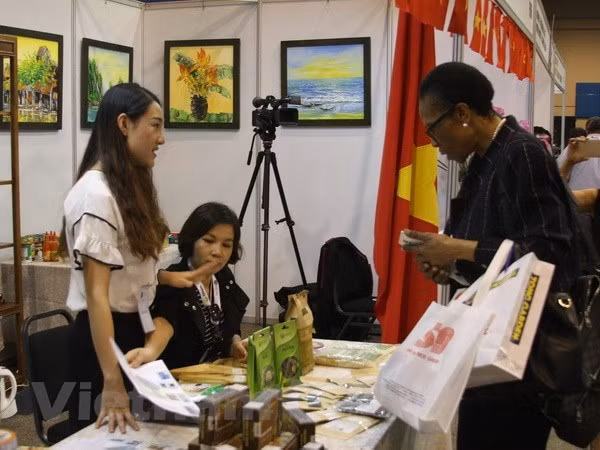 Promouvoir la coopération entre le Vietnam et l'Afrique du Sud ảnh 1