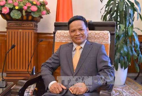 Le Vietnam contribue à la diversité de la Commission du droit international de l’ONU ảnh 1