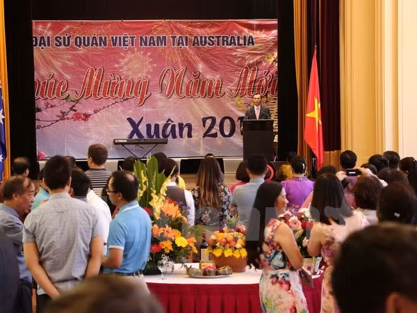 Les Vietnamiens à l'étranger accueillent le Nouvel An lunaire ảnh 1