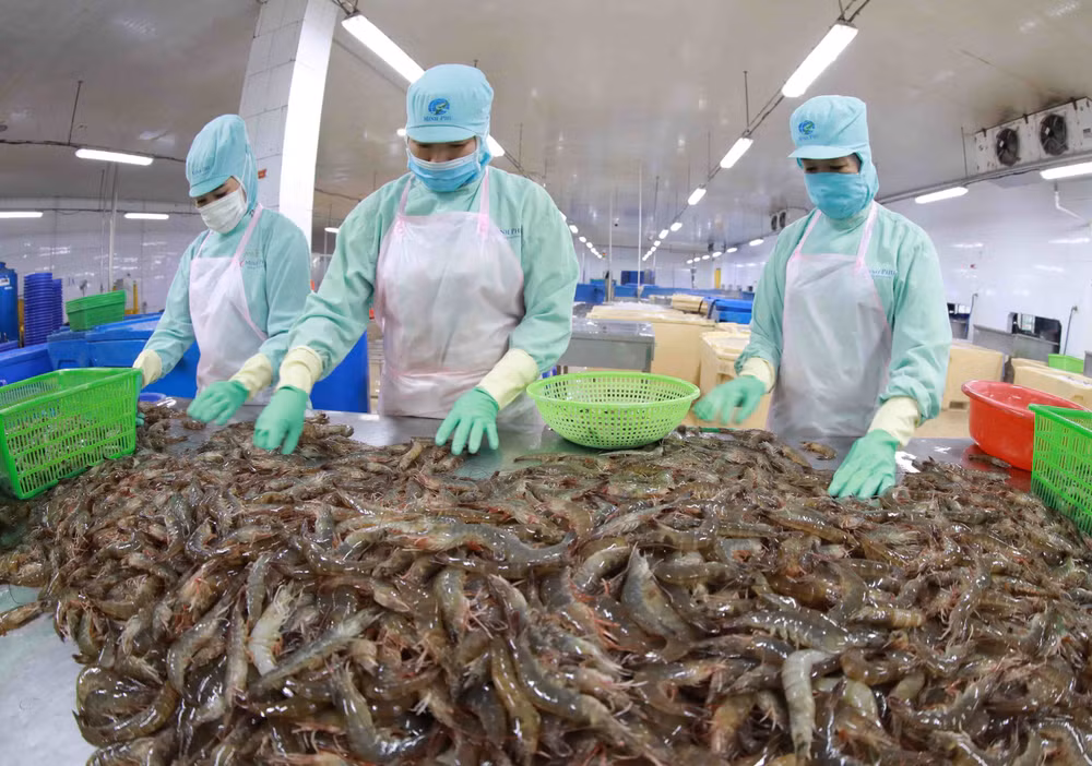Exportations des produits aquatiques en hausse de 38% en neuf mois ảnh 2