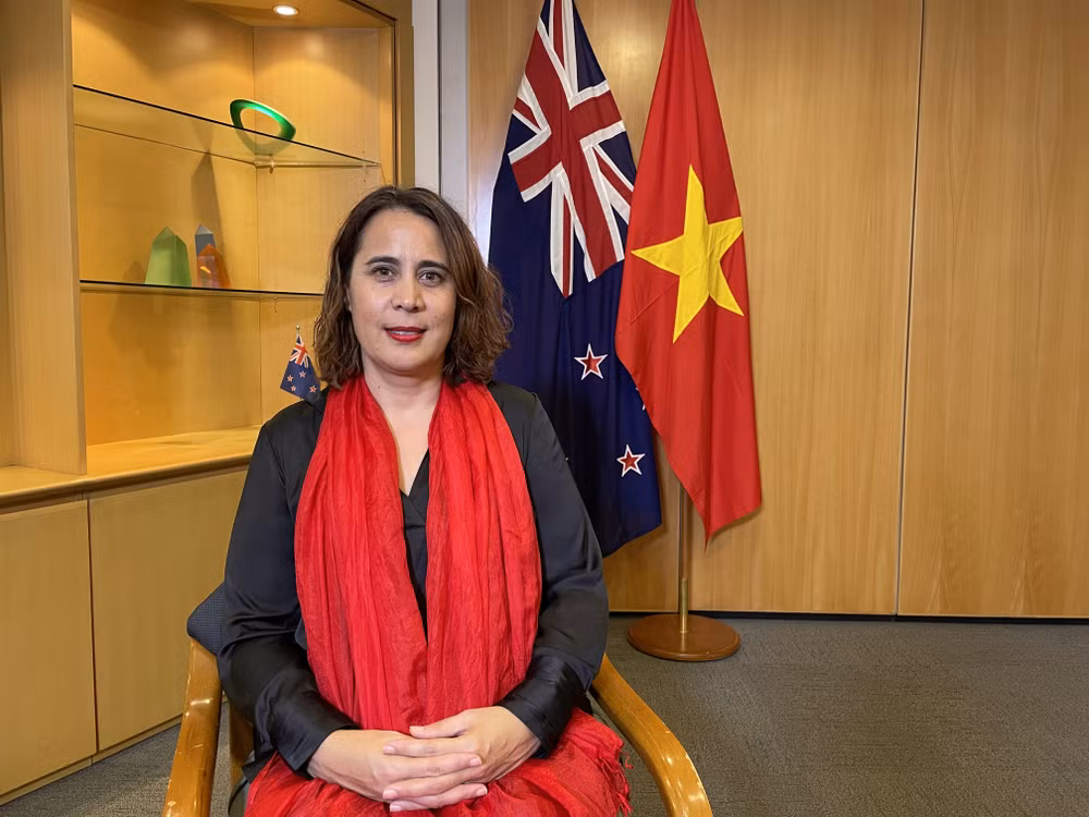 Le Vietnam et la Nouvelle-Zélande partagent leur approche commune ảnh 1