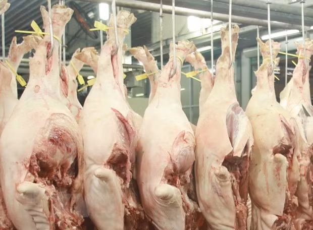 La Chine est le plus grand débouché de viande du Vietnam ​ ảnh 1
