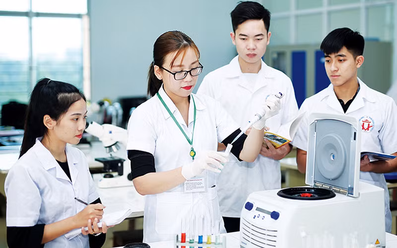 Vietnam–R. de Corée : Promotion de la coopération dans la recherche scientifique et technologique ảnh 1
