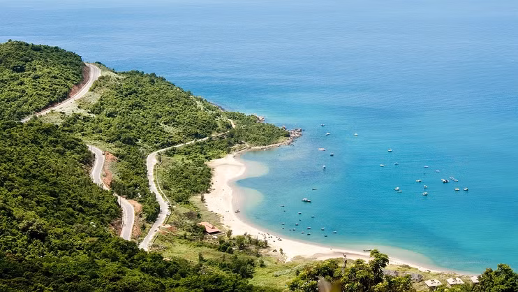 Dà Nang entend développer la zone touristique nationale de Son Trà ảnh 1
