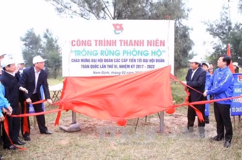 Le vice-PM Truong Hoa Binh à la Fête de la plantation d'arbres 2017 ảnh 1