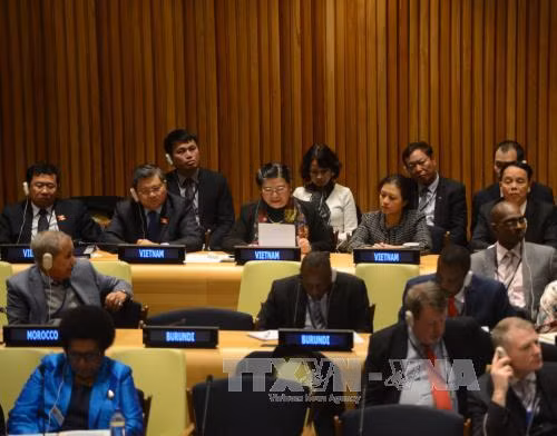 Le VN est prêt à coopérer avec la communauté internationale pour protéger l’environnement maritime ảnh 1