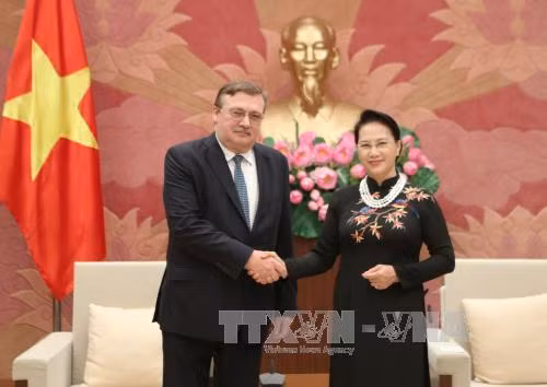 La présidente de l’AN reçoit l’ambassadeur hongrois ảnh 1