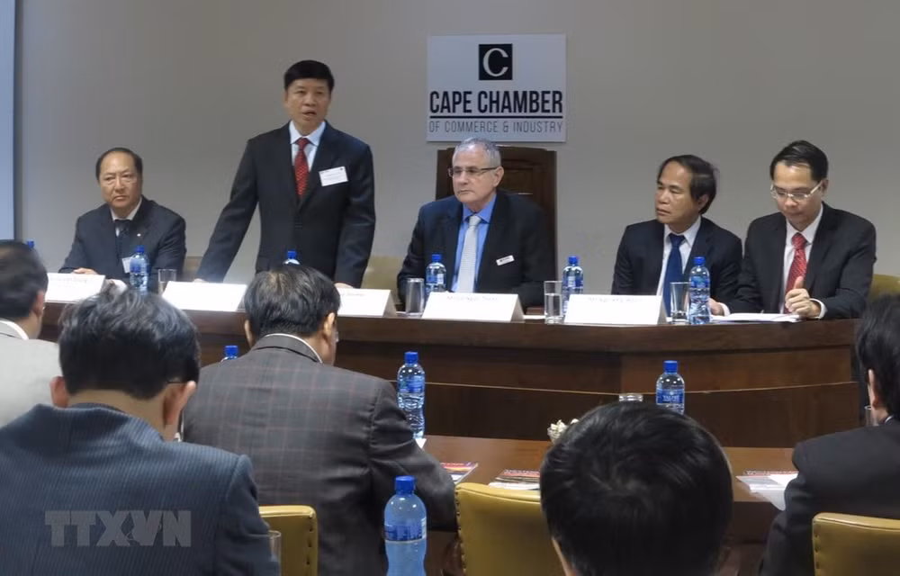 Vietnam et Afrique du Sud favorisent la coopération entre leurs entreprises ảnh 1