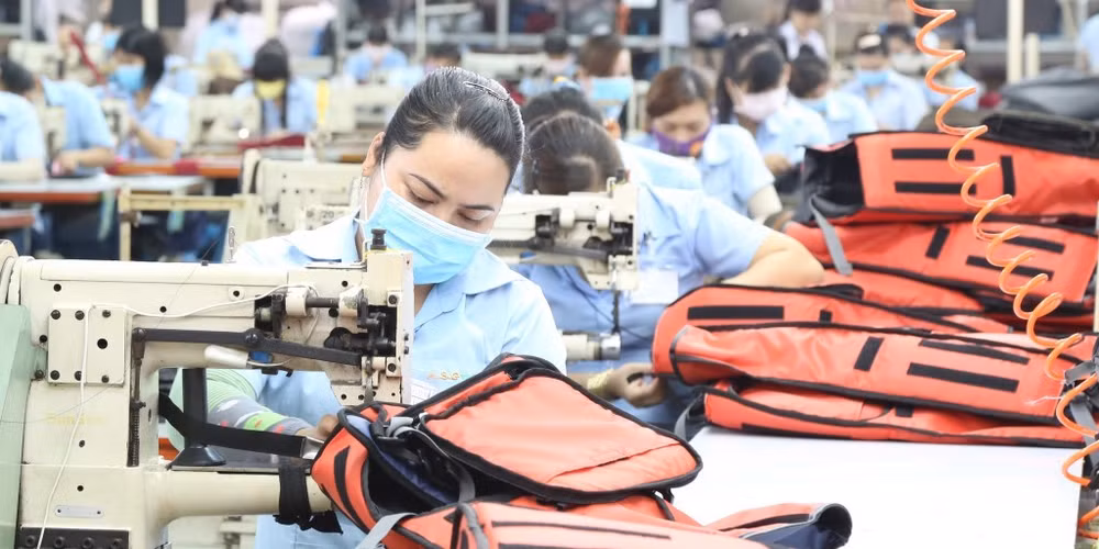 EVFTA : profiter au maximum des intérêts ảnh 1