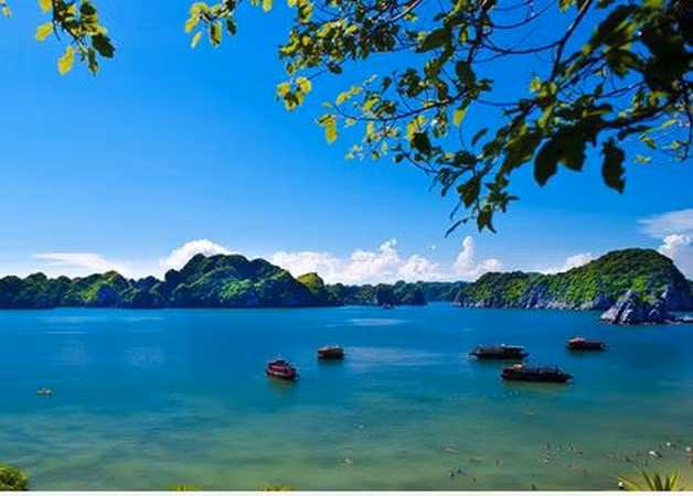 Conservation des valeurs des réserves mondiales de biosphère au Vietnam ảnh 1