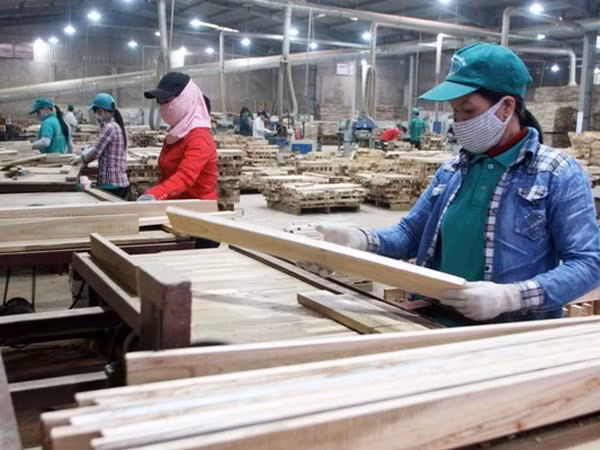 Bois et produits dérivés: 9 milliards de dollars d'exportation attendus cette année ảnh 1