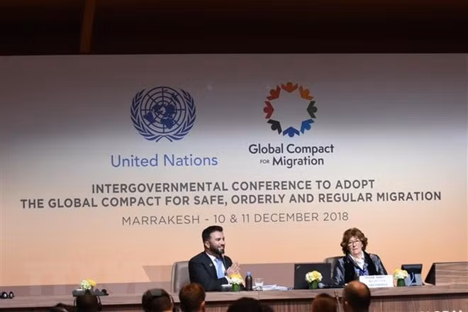 Le Vietnam à la conférence intergouvernementale chargée d’adopter le GMC ảnh 1