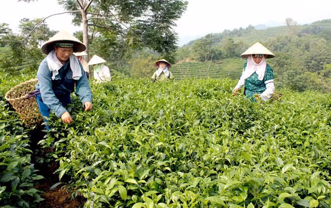 Les régions montagneuses du Nord changent de physionomie ảnh 1