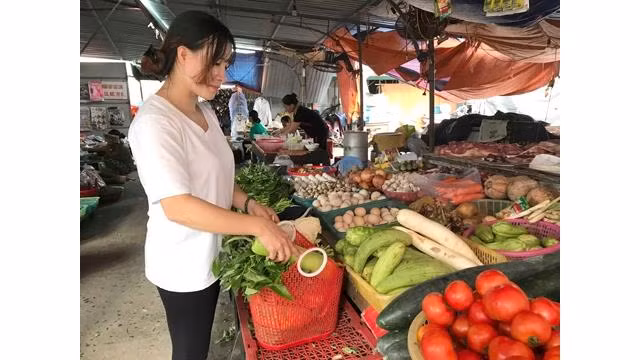 Les modèles d’innovation contre les déchets plastiques se multiplient ảnh 1