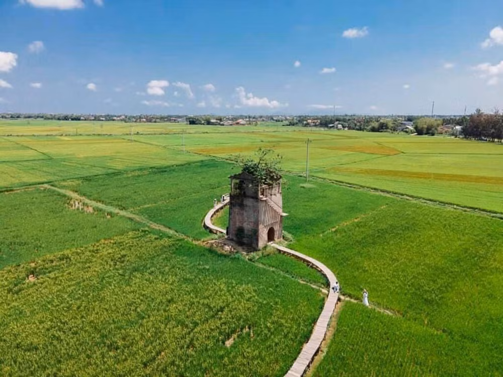 Suivre le chemin de Bùi Ngoc Công ảnh 2