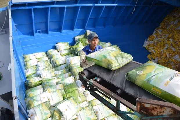 Le riz vietnamien offre de nombreuses opportunités d'augmenter sa valeur et d'élargir ses marchés d'exportation ảnh 1