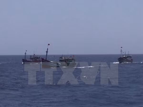 Pêche : l'annonce chinoise concernant les eaux vietnamiennes est dépourvue de toute valeur ảnh 1
