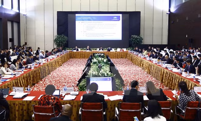 APEC 2017 : la SOM 2 continue de discuter des contenus importants ảnh 1