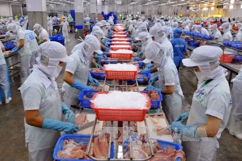 Le Vietnam et les États-Unis boostent leur coopération dans l’agriculture ảnh 1