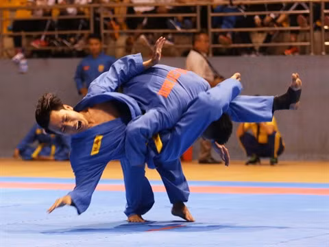 Promotion du Vovinam à l’international ảnh 1