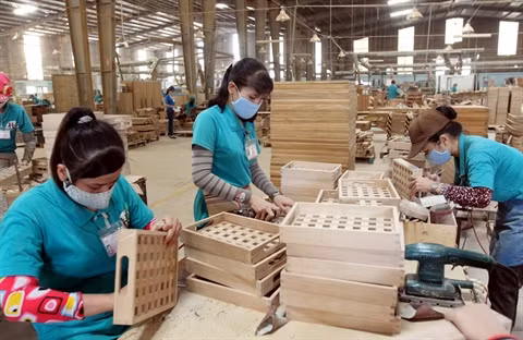 COVID-19: L’industrie du bois va promouvoir les ventes en ligne ảnh 1