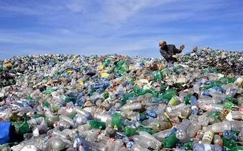Un jeune pêcheur lutte contre la pollution marine ảnh 2