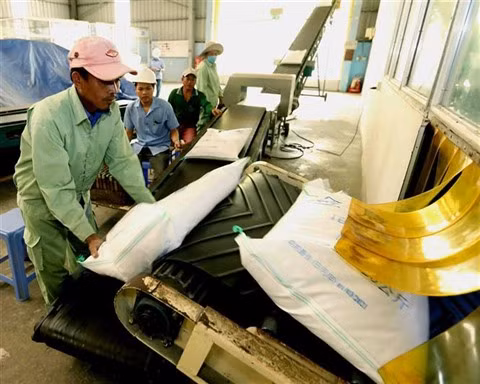 Les exportations de riz vietnamien vers le Sénégal sont en hausse ảnh 1