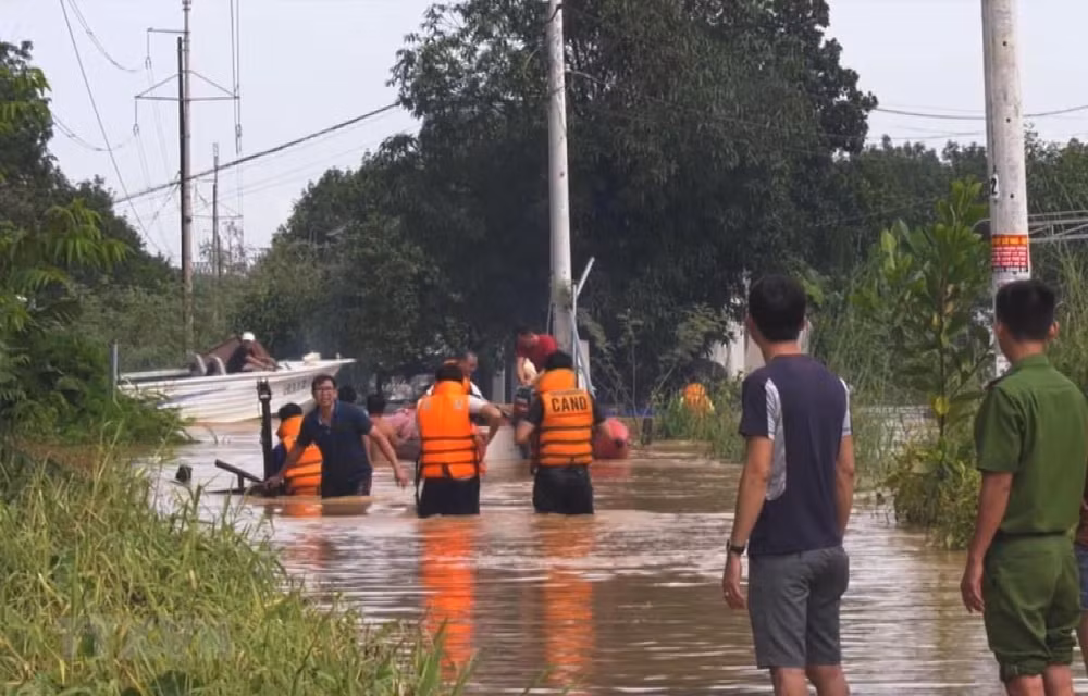 Vietnam et Japon partagent des solutions pour réduire les risques de catastrophe ảnh 1